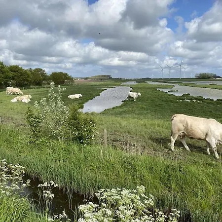 Welcoming Near Lake *